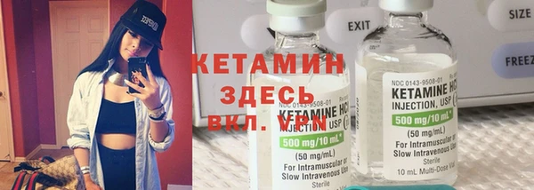 индика Белокуриха