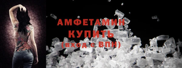 индика Белокуриха