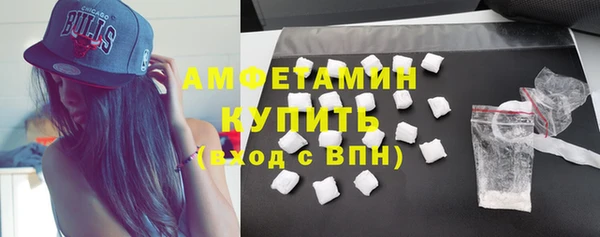 индика Белокуриха