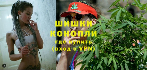 индика Белокуриха