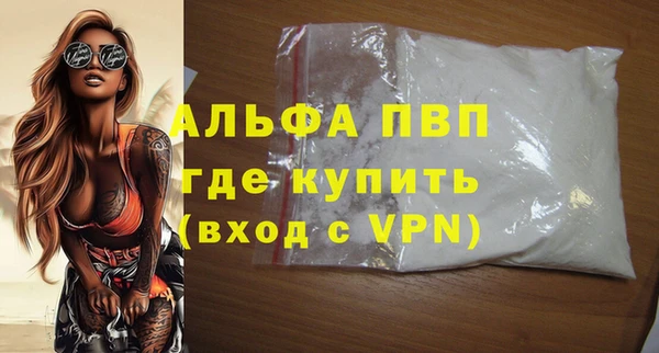 индика Белокуриха