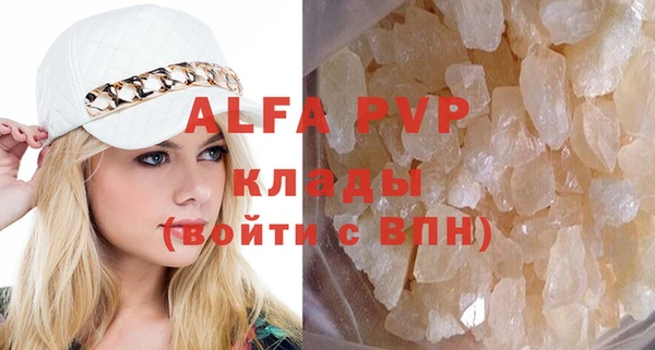 индика Белокуриха