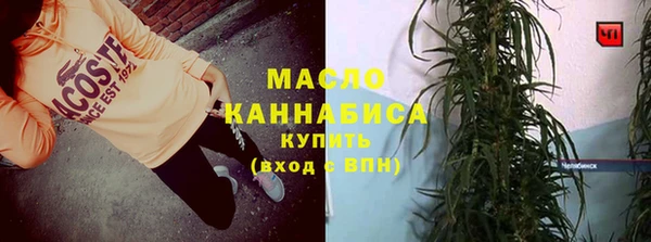 индика Белокуриха