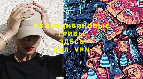 прущие грибы Пролетарск