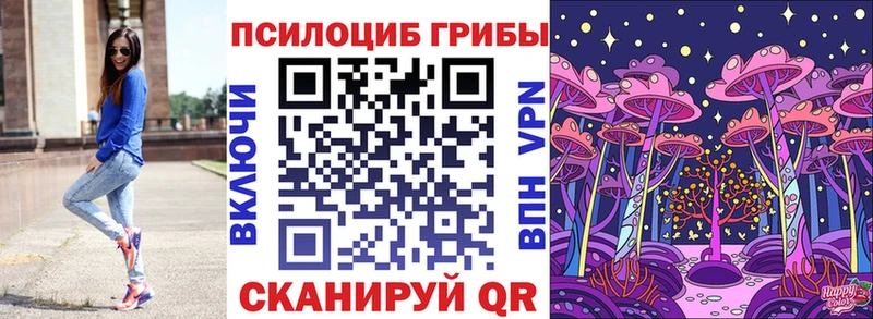 наркошоп  Купино  Псилоцибиновые грибы Magic Shrooms 