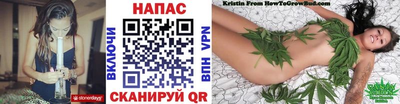 купить наркотики сайты  Купино  Бошки Шишки Amnesia 